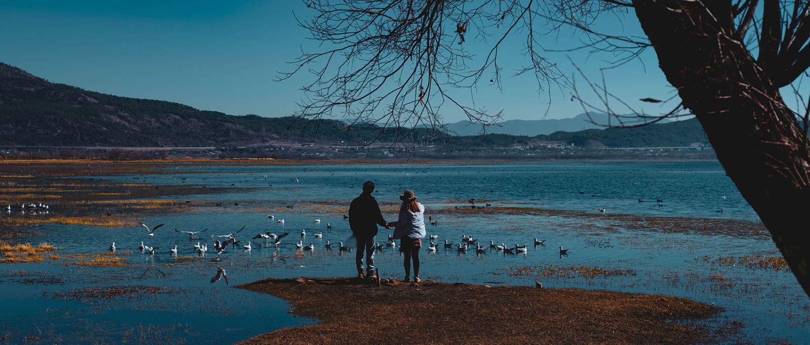 云南麗江·茶馬道拉市海麗世山居酒店設計 云南麗江·茶馬道拉市海麗世山居酒店設計